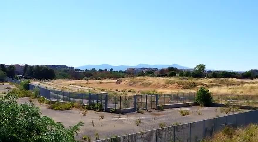 Alberi contro lo stadio Pietralata: la singolare protesta del green Di Battista